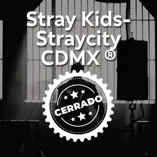 Experiencia 25 septiembre Stray Kids-StraycityCDMX Box Oro Estadio GNP CDMX + Estacionamiento